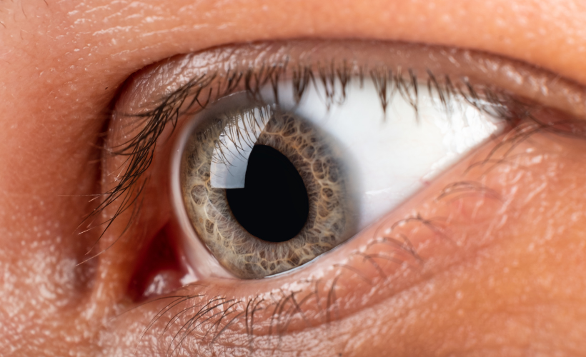 Corneal Ulcer Treatment